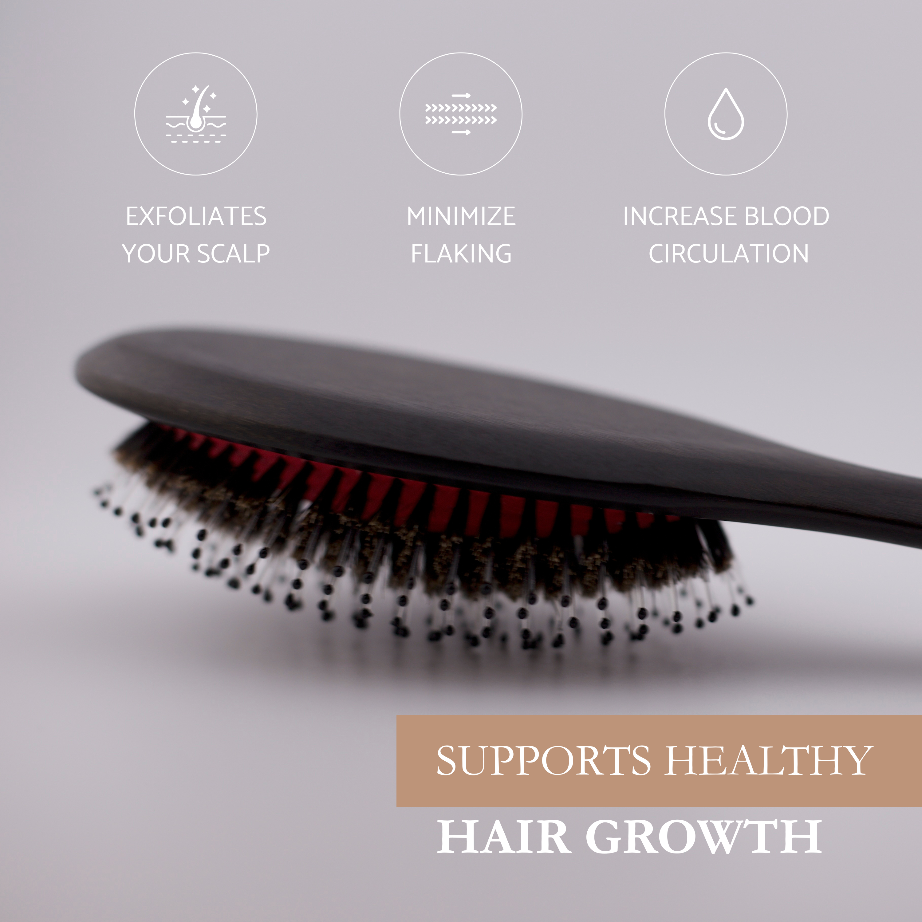 L'Brise Iconic Bristle & Nylon Hairbrush 1872